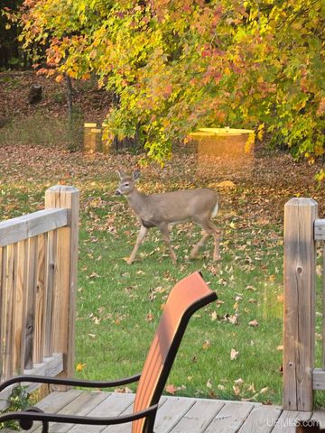 3712 E 26th Road, Chatham, MI 49816