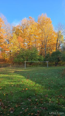 3712 E 26th Road, Chatham, MI 49816