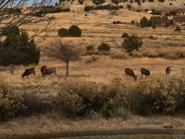 5749 St Charles River Dr, Pueblo, CO 81004