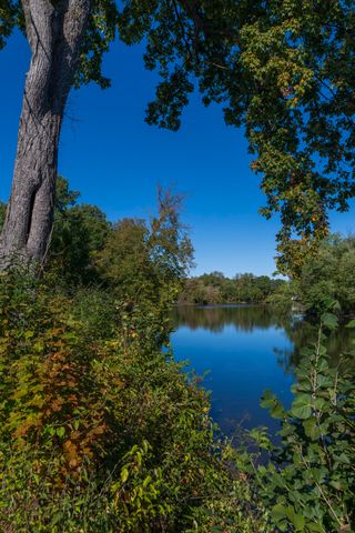 135 Jeremy Street, Constantine Vllg, MI 49042