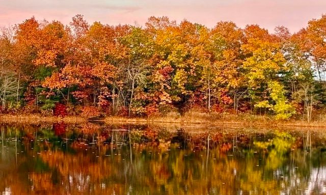 122 Haviland St, Ludlow, MA 01056