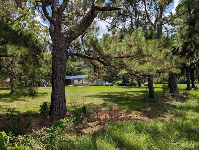 20265 Willaby Road, New Caney, TX 77357
