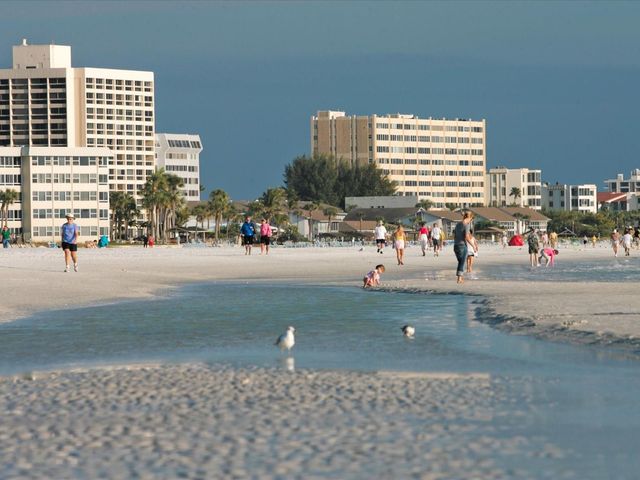 3262 BROCKTON LANE 608, Sarasota, FL 34239