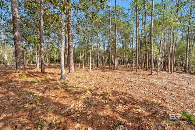 0 County Road 97, Perdido Beach, AL 36530