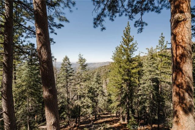 721 Chillon Drive, Crestline, CA 92325