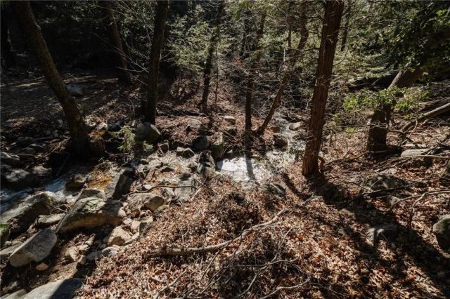 721 Chillon Drive, Crestline, CA 92325