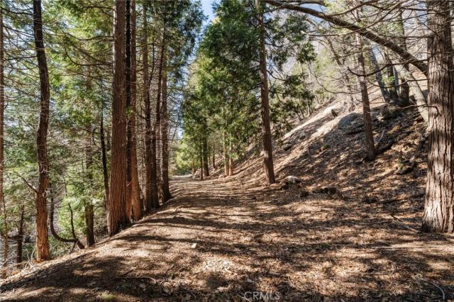 721 Chillon Drive, Crestline, CA 92325