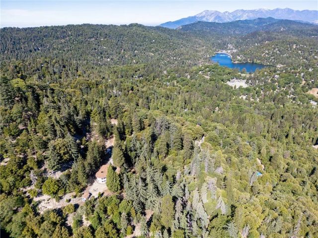 721 Chillon Drive, Crestline, CA 92325