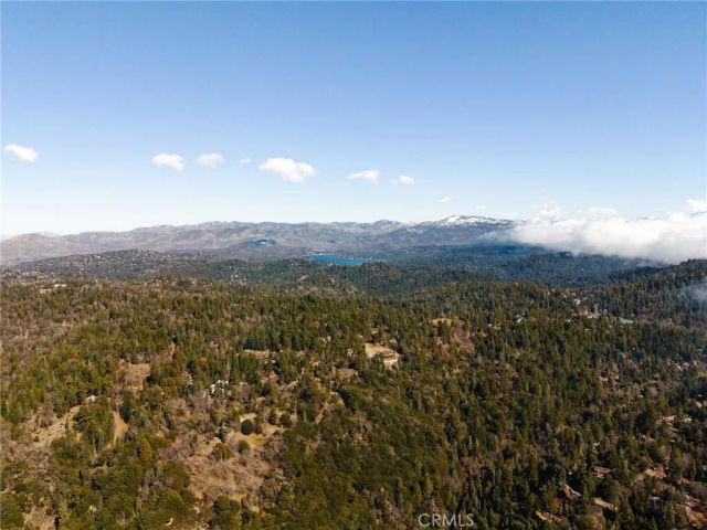 721 Chillon Drive, Crestline, CA 92325
