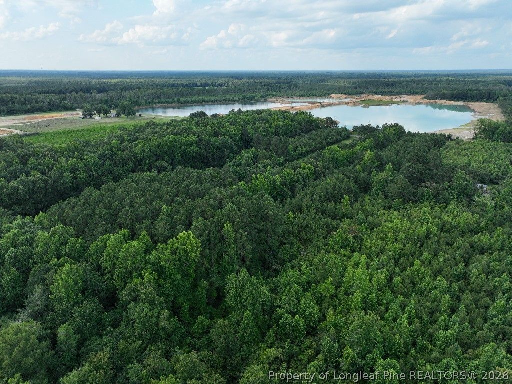 8125 Carlos Road, Linden, NC 28356 — photo 4