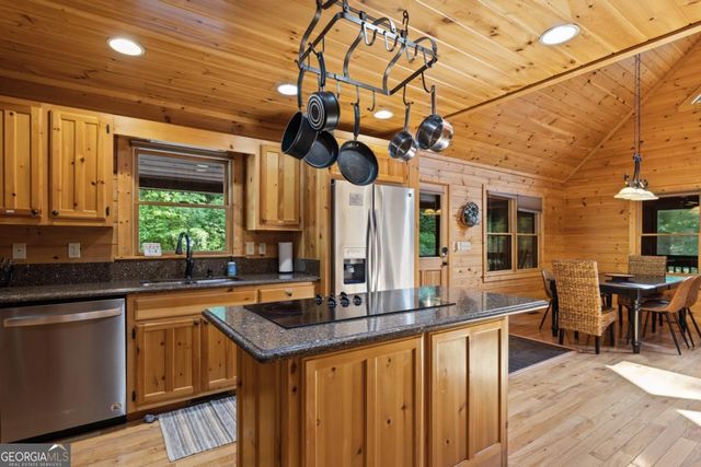 220 Solar Drive, Blue Ridge, GA 30513