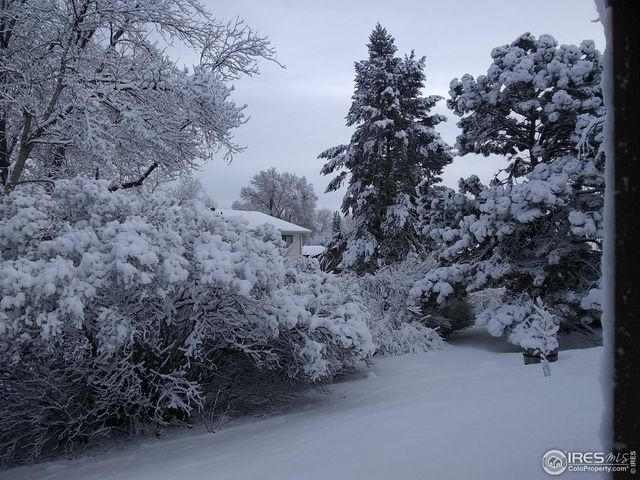 1327 Audubon Pl, Loveland, CO 80538