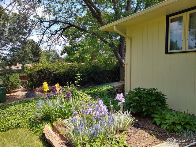 1327 Audubon Pl, Loveland, CO 80538