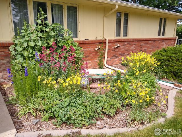 1327 Audubon Pl, Loveland, CO 80538