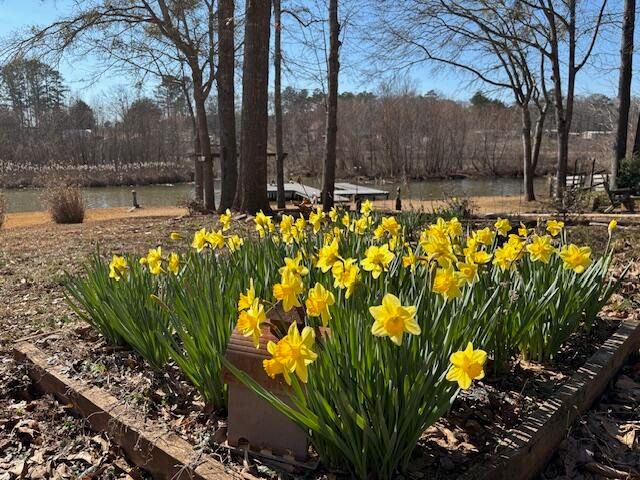 132 Sunset Drive, Eatonton, GA 31024