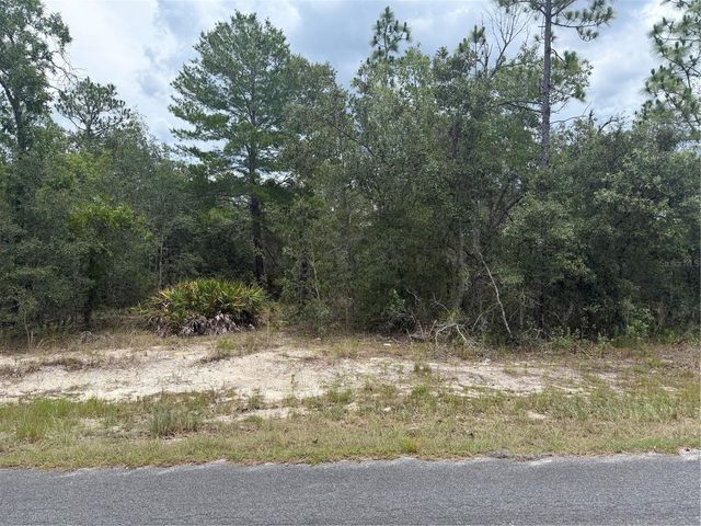 6215 S PREMIERE AVENUE, Homosassa, FL 34446