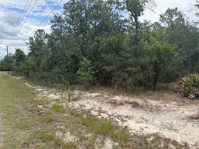 6215 S PREMIERE AVENUE, Homosassa, FL 34446