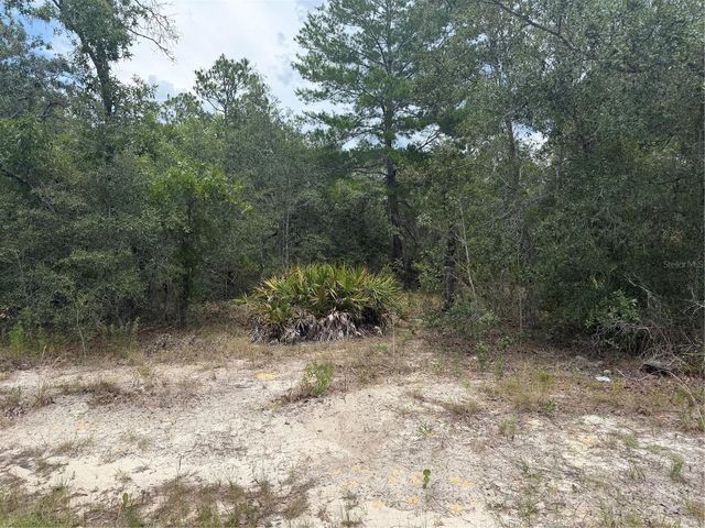 6215 S PREMIERE AVENUE, Homosassa, FL 34446