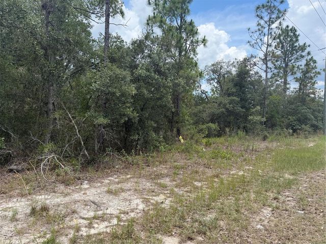 6215 S PREMIERE AVENUE, Homosassa, FL 34446