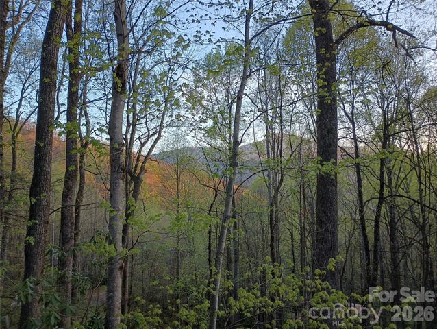 662 Locust Drive, Maggie Valley, NC 28751