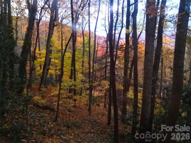 662 Locust Drive, Maggie Valley, NC 28751