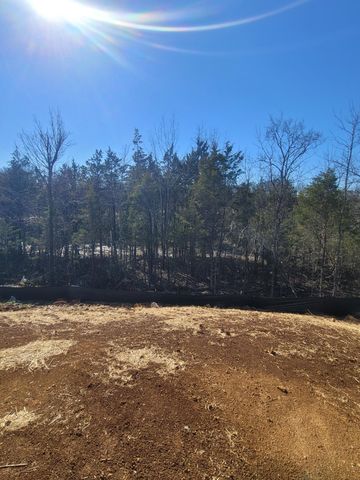 350 Mammoth Trace, Smyrna, TN 37167