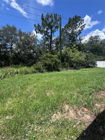 338 KINGFISH DRIVE, Kissimmee, FL 34759