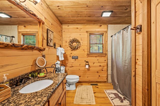 222 Brooks Ridge Road, Mineral Bluff, GA 30559