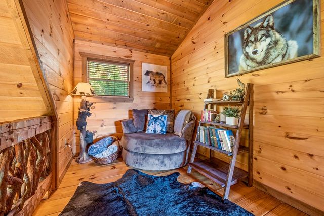 222 Brooks Ridge Road, Mineral Bluff, GA 30559