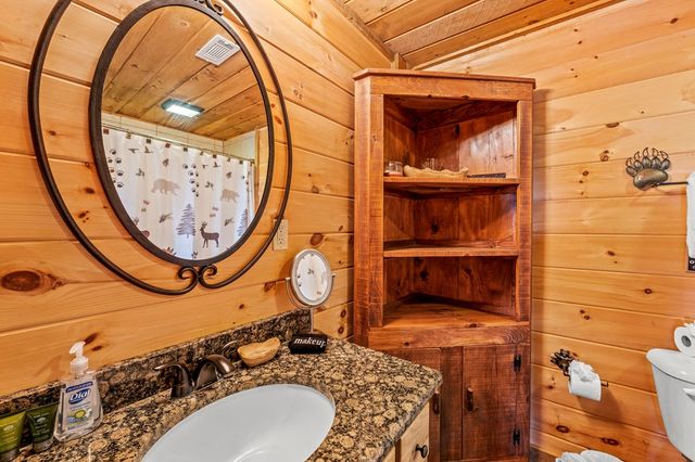 222 Brooks Ridge Road, Mineral Bluff, GA 30559