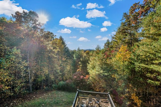 222 Brooks Ridge Road, Mineral Bluff, GA 30559