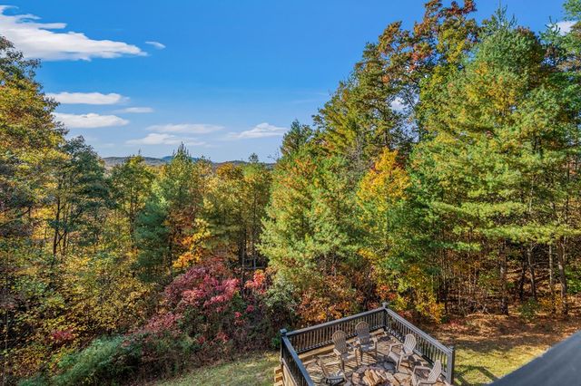 222 Brooks Ridge Road, Mineral Bluff, GA 30559