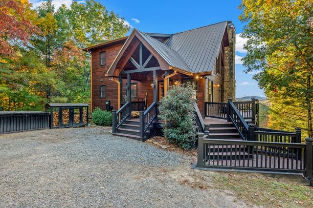 222 Brooks Ridge Road, Mineral Bluff, GA 30559