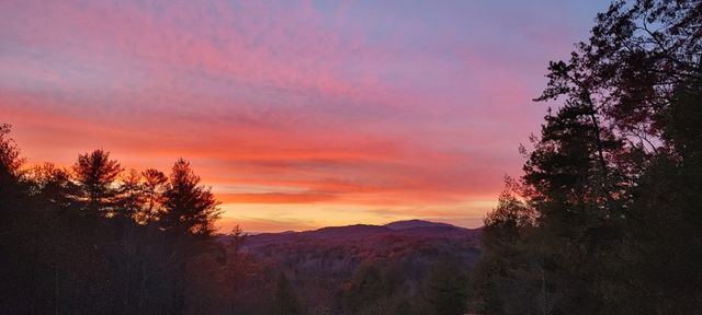 222 Brooks Ridge Road, Mineral Bluff, GA 30559