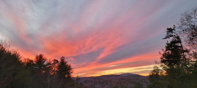 222 Brooks Ridge Road, Mineral Bluff, GA 30559