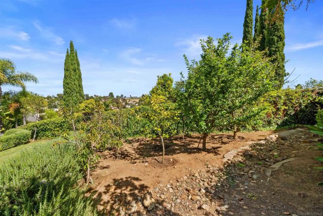 11375 Paymogo, San Diego, CA 92129