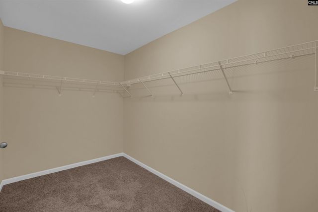 246 Mill House Lane, Lexington, SC 29072