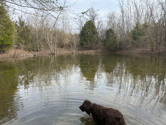 0 Marshall Creek Rd, Auburntown, TN 37016