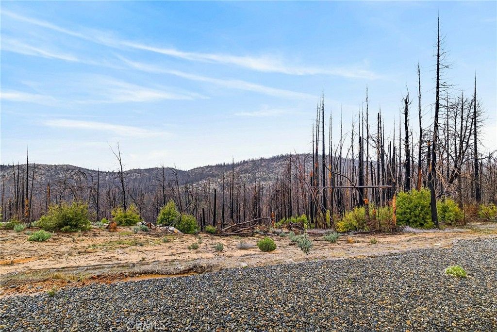 Image 61 of property listing at 603 Zink, Berry Creek, CA 95916