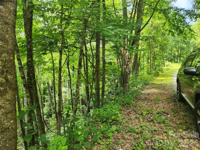 00 Green Ridge Falls Road, Weaverville, NC 28787