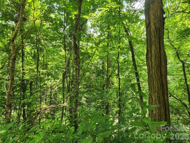 00 Green Ridge Falls Road, Weaverville, NC 28787
