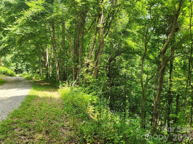 00 Green Ridge Falls Road, Weaverville, NC 28787