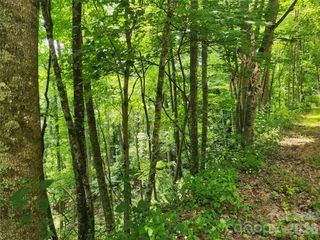 00 Green Ridge Falls Road, Weaverville, NC 28787