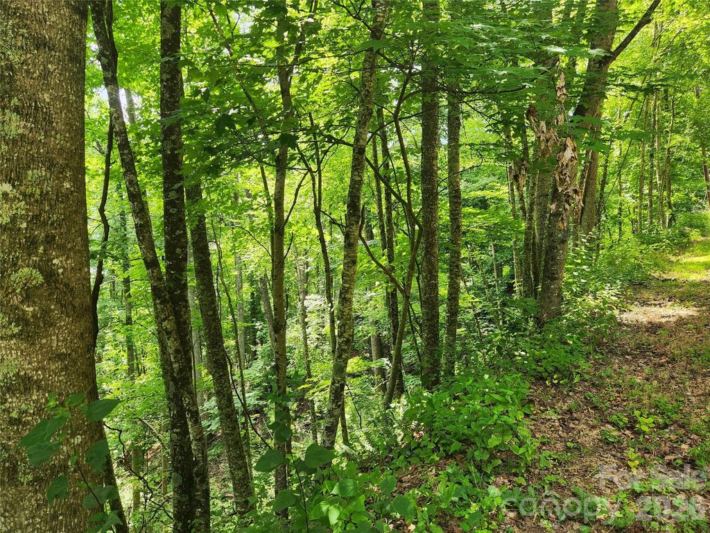 00 Green Ridge Falls Road, Weaverville, NC 28787