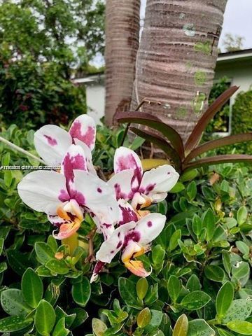 274 NW 92nd St, Miami Shores, FL 33150