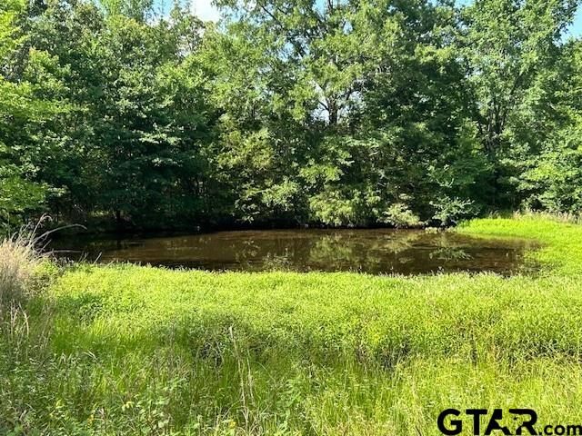 0 VZ County Road 1128, Fruitvale, TX 75127