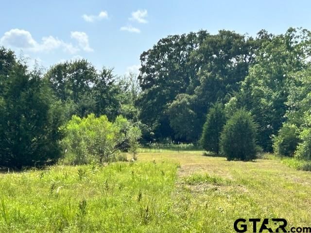 0 VZ County Road 1128, Fruitvale, TX 75127
