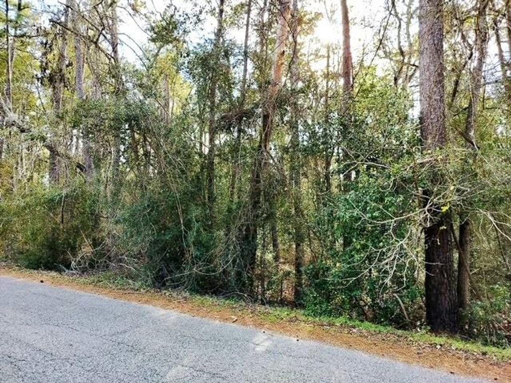 0 Belleau Wood Drive, Humble, TX 77338