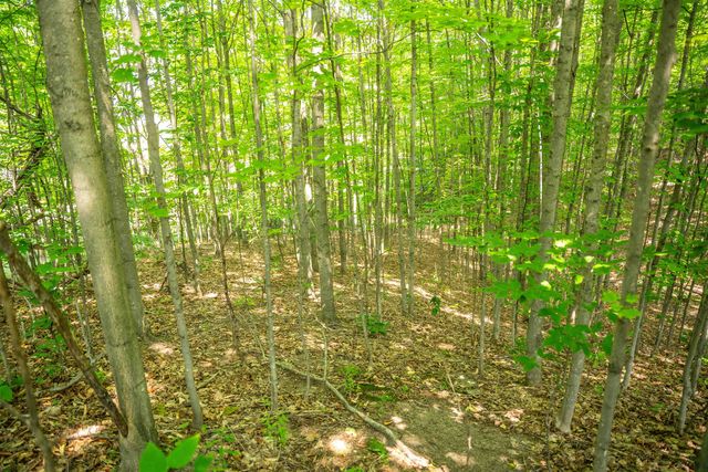 4885 Grayhawk Boulevard, Traverse City, MI 49684