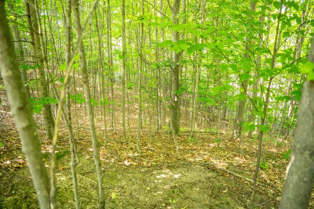 4885 Grayhawk Boulevard, Traverse City, MI 49684